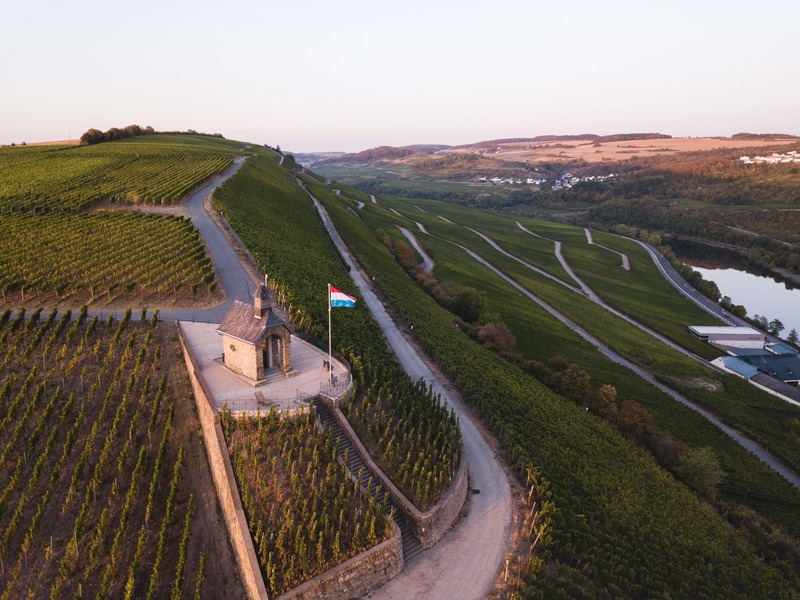 Spécialisation pour guides de la Moselle
